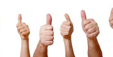 How to establish credibility in a democratic workplace?